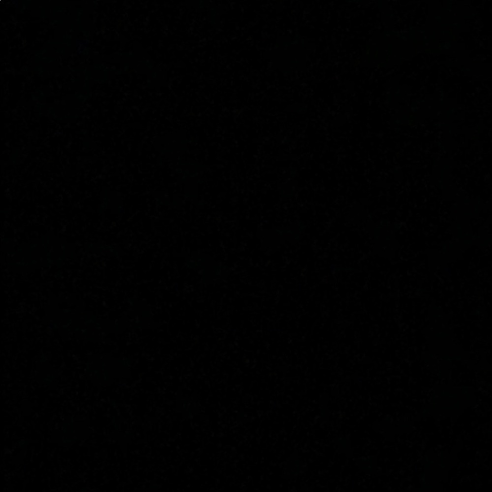 Meet your Posher, Ally